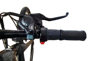 Commuter E-Bike G-Hybrid Elegent Step Through Unisex Black